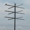 Super System 36 shown without gourds, notice the visiting martin 